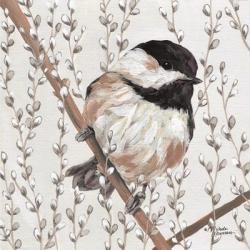 Wee Chickadee | Obraz na stenu