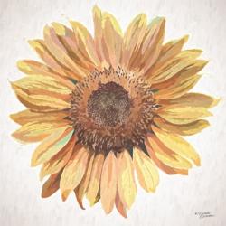 Sunny Sunflower | Obraz na stenu