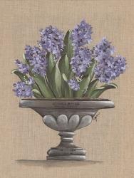 Hyacinth Urn | Obraz na stenu