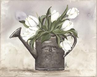 Watering Can Tulips | Obraz na stenu