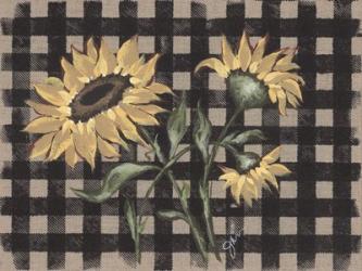 Sunflowers Plaid II | Obraz na stenu