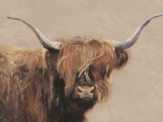 Highland Cow | Obraz na stenu