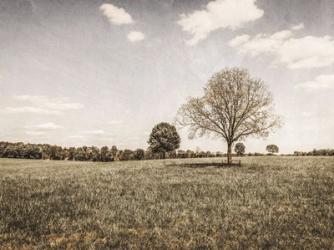 Together in the Fields I | Obraz na stenu