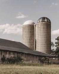 Standing Farm Sisters | Obraz na stenu