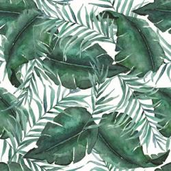 Monstea Leaves Pattern | Obraz na stenu