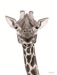 Safari Giraffe Peek-a-boo | Obraz na stenu