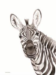 Safari Zebra Peek-a-boo | Obraz na stenu