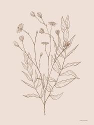 Wildflower Drawing | Obraz na stenu