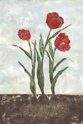 Red Tulips | Obraz na stenu