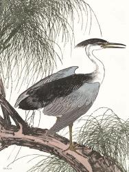 Perched Heron | Obraz na stenu