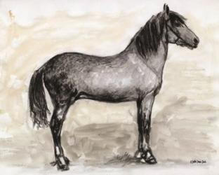 Horse Study 1 | Obraz na stenu