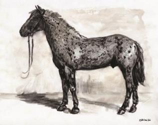 Horse Study 2 | Obraz na stenu