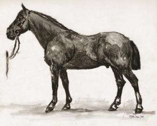 Horse Study 4 | Obraz na stenu