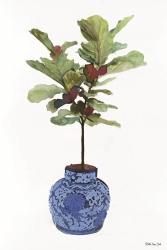 Fig Tree 1 | Obraz na stenu