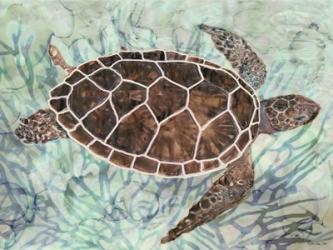 Sea Turtle Collage 1 | Obraz na stenu