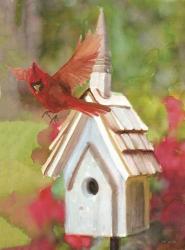 Cardinal Bird House | Obraz na stenu