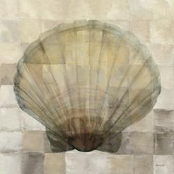 Scallop Shell | Obraz na stenu