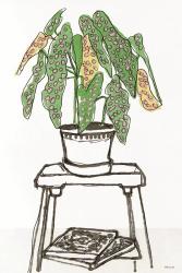 House Plant Study I | Obraz na stenu