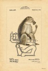 Monkey in Bowl | Obraz na stenu