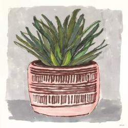 Potted Agave I | Obraz na stenu