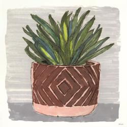 Potted Agave II | Obraz na stenu