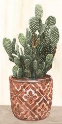 Cactus in Pot 2 | Obraz na stenu