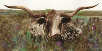 Texas Longhorn in Field | Obraz na stenu