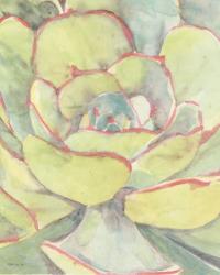 Succulent Bloom 2 | Obraz na stenu