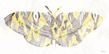 Yellow-Gray Patterned Moth 1 | Obraz na stenu