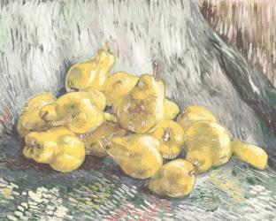 Pile of Pears | Obraz na stenu