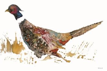 Pheasant 2 | Obraz na stenu