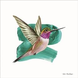 Hummingbird I | Obraz na stenu