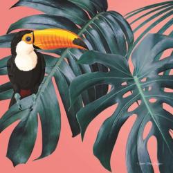 The Toucan | Obraz na stenu