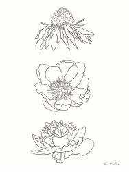 Hand Drawn Flowers | Obraz na stenu