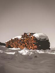 Logs in Snow | Obraz na stenu