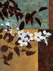 Spring Blossoms I | Obraz na stenu