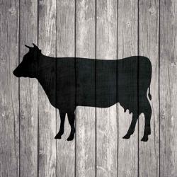 Barn Cow | Obraz na stenu