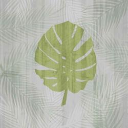 Palm Leaf | Obraz na stenu