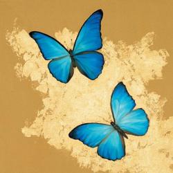 Cerulean Butterfly I | Obraz na stenu