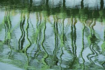 Green Bridge Reflection in Water | Obraz na stenu