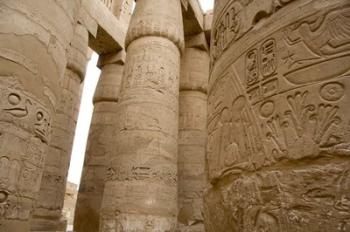 Hieroglyphic covered columns in hypostyle hall, Karnak Temple, East Bank, Luxor, Egypt | Obraz na stenu