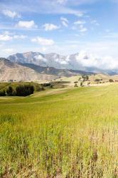 Grassy plains, Semien Mountains National Park, Ethiopia | Obraz na stenu