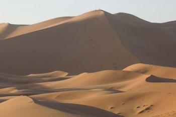 MOROCCO, Tafilalt, MERZOUGA: Erg Chebbi Dunes | Obraz na stenu