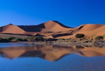 Sossusvlei Dunes Oasis, Namib National Park, Namibia | Obraz na stenu