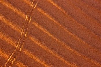 Sand patterns, Namib-Naukluft National Park, Namibia | Obraz na stenu