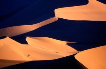 Red Sand Dunes in Namib Desert, Namib Naukluft National Park, Namibia | Obraz na stenu