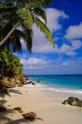 Serene Anse Victorin Beach, Seychelles, Africa | Obraz na stenu