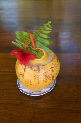 Tropical cocktail, Fregate Island, Seychelles, Africa | Obraz na stenu