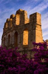Ancient Roman Amphitheater with flowers, El Jem, Tunisia | Obraz na stenu