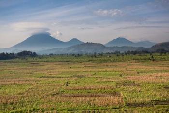 Farmland around Kisoro, Kigezi, Africa | Obraz na stenu